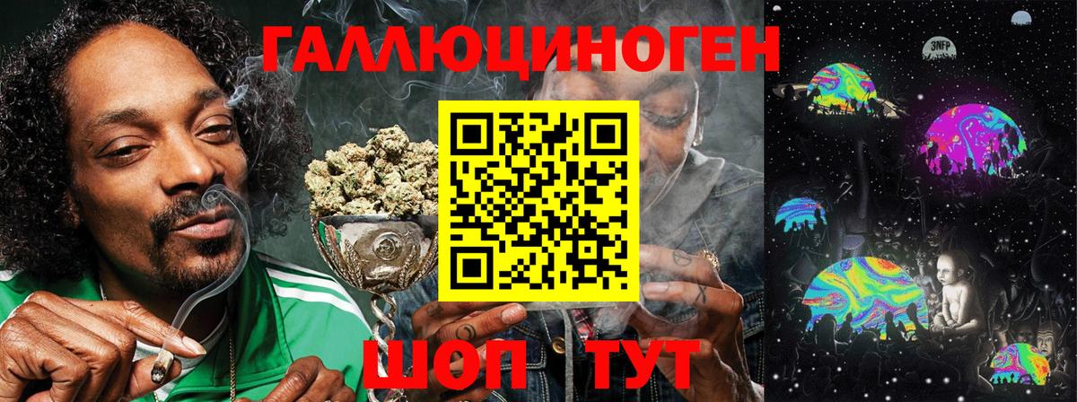 Псилоцибиновые грибы Psilocybine cubensis Тверь