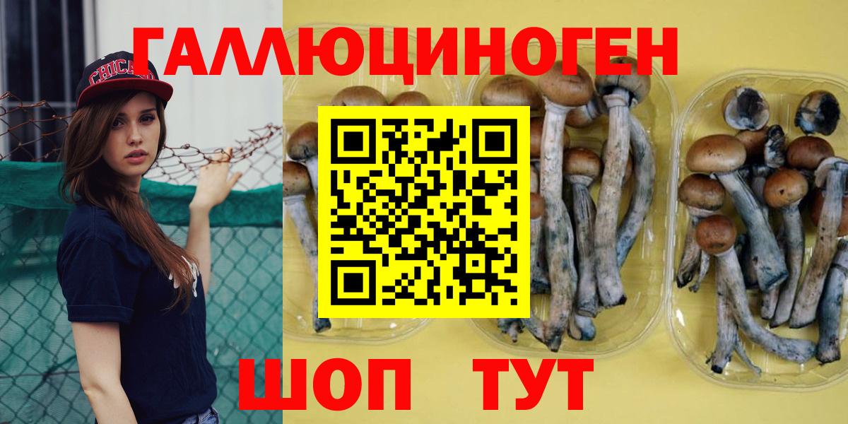 Тверь  Галлюциногенные грибы Psilocybe  Галлюциногенные грибы GOLDEN TEACHER  Вход с VPN 